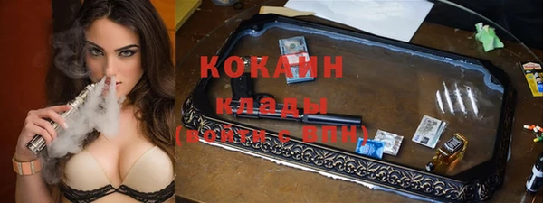 сатива Бронницы