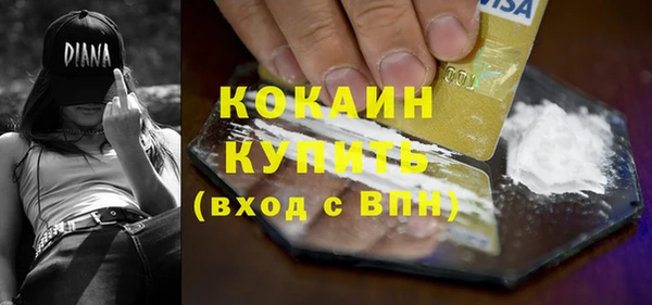 сатива Бронницы