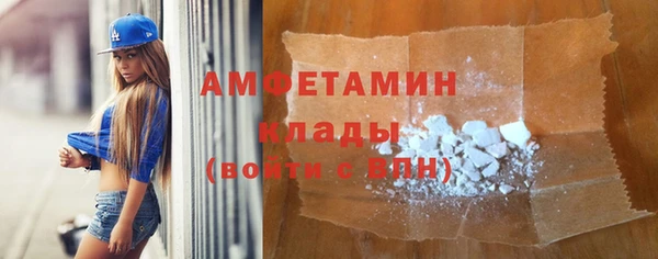 шишки Бородино