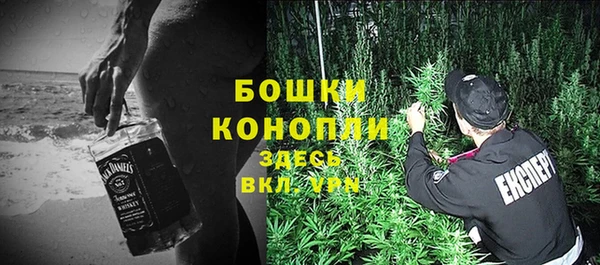 прущие крисы Верея