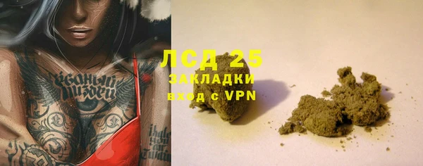 сатива Бронницы