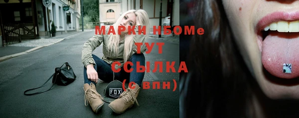 шишки Бородино