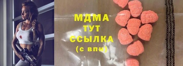 шишки Бородино