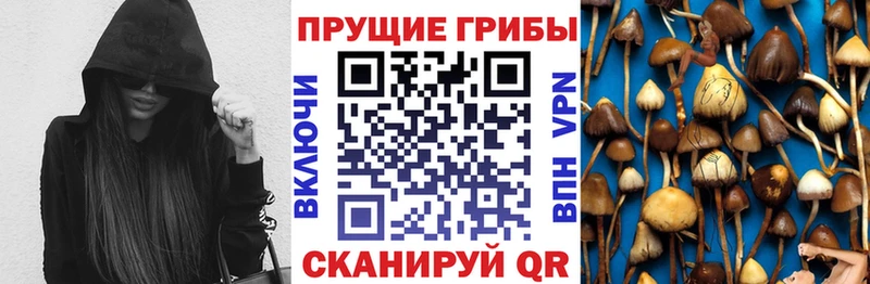 Галлюциногенные грибы ЛСД  Гусев 