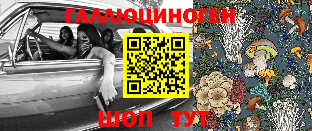 Галлюциногенные грибы мицелий  Вход с VPN  Гусев 